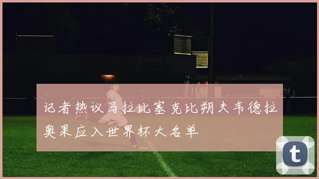 记者热议马拉比塞克比朔夫韦德拉奥果应入世界杯大名单