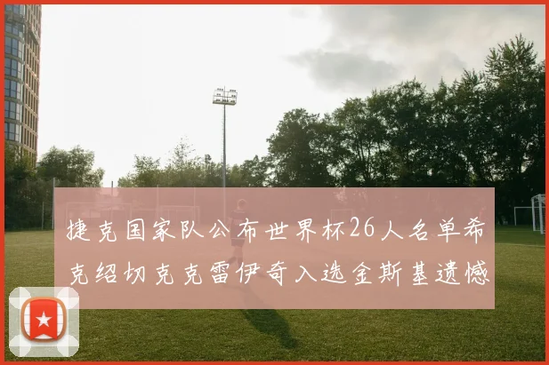捷克国家队公布世界杯26人名单希克绍切克克雷伊奇入选金斯基遗憾落选
